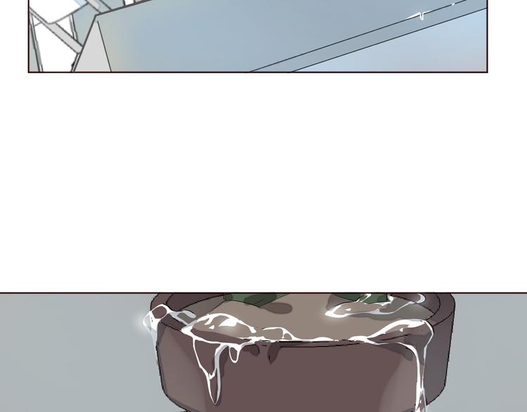 第1话 最帅仙人掌登场！(1/3)-第2话