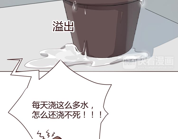 第1话 最帅仙人掌登场！(1/3)-第2话