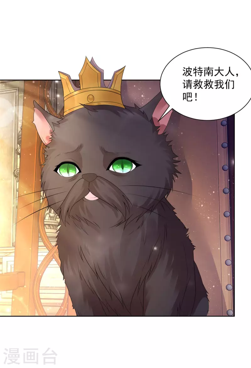 第130话 比起龙更喜欢猫-第130话