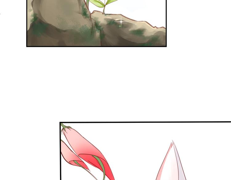 第2话  受伤被救(1/2)-第2话