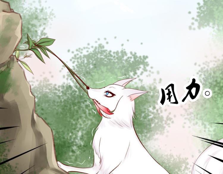 第2话  受伤被救(1/2)-第2话