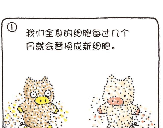 第46话 变化和永远-第46话