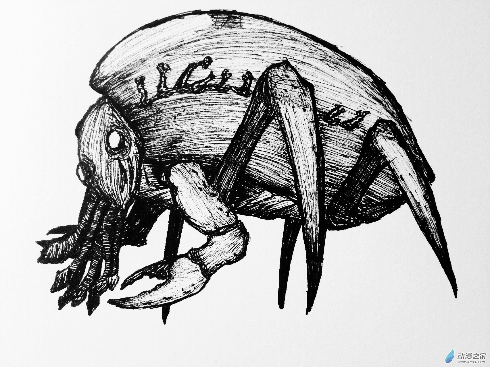 13 兰&middot;提戈斯-第12话