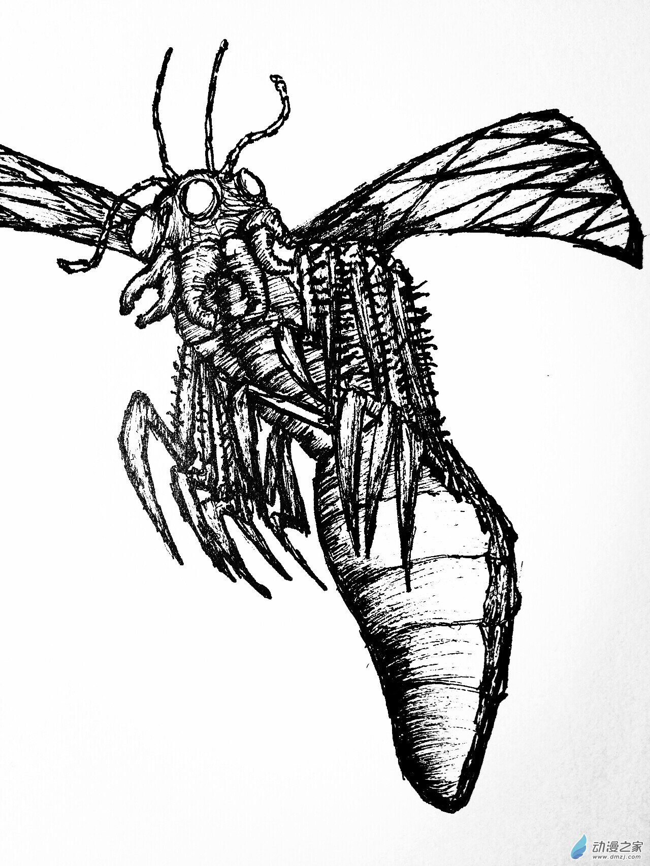 15 夏盖虫族-第14话