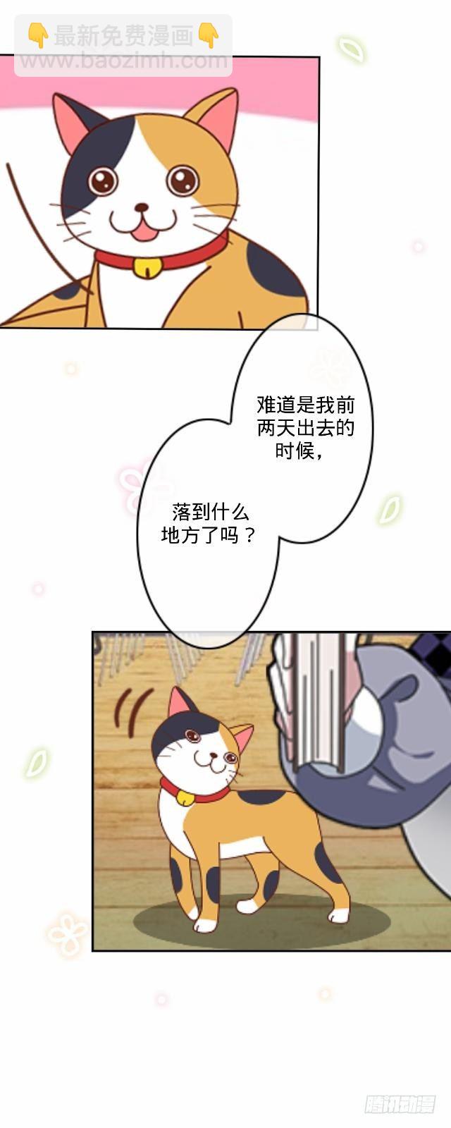 怕猫篇（上）-第14话