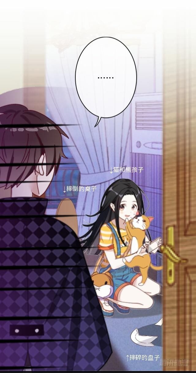 怕猫篇（下）-第16话