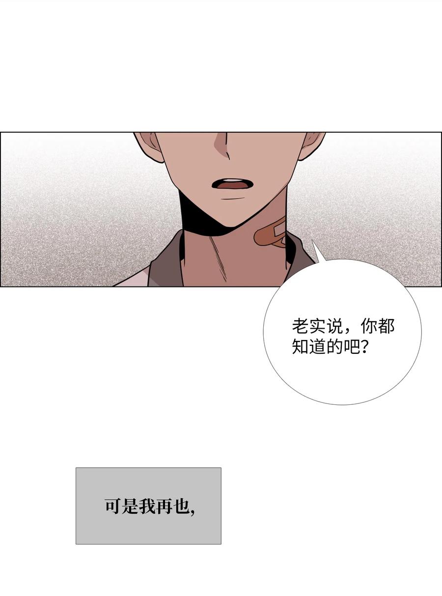 19 挑衅(1/2)-第20话