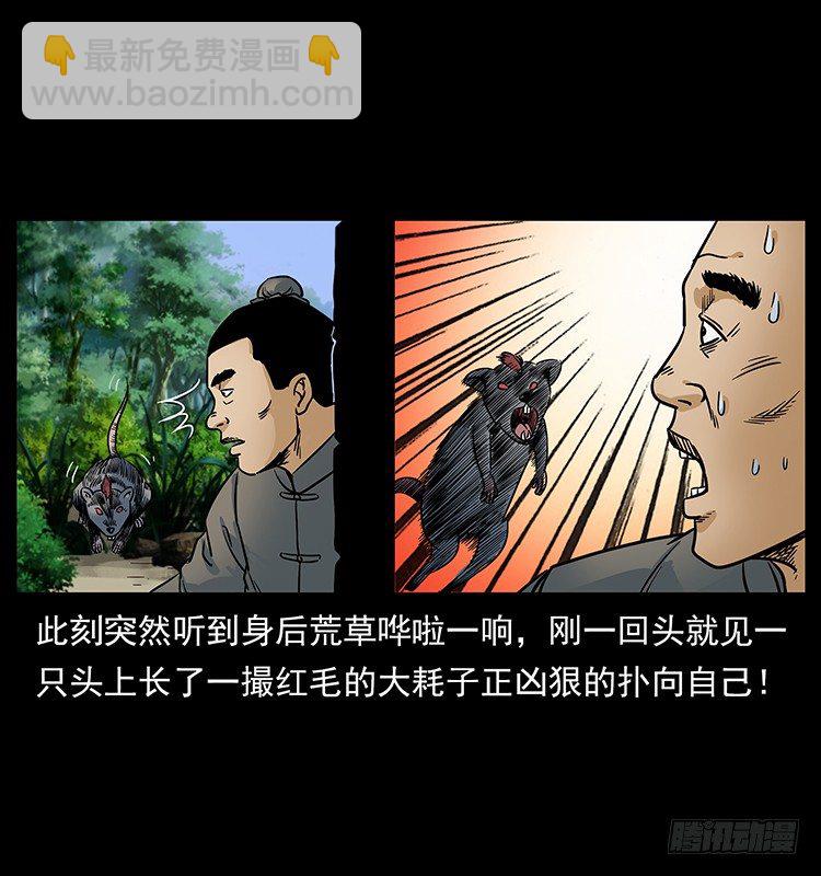 入伏牛(1/2)-第20话