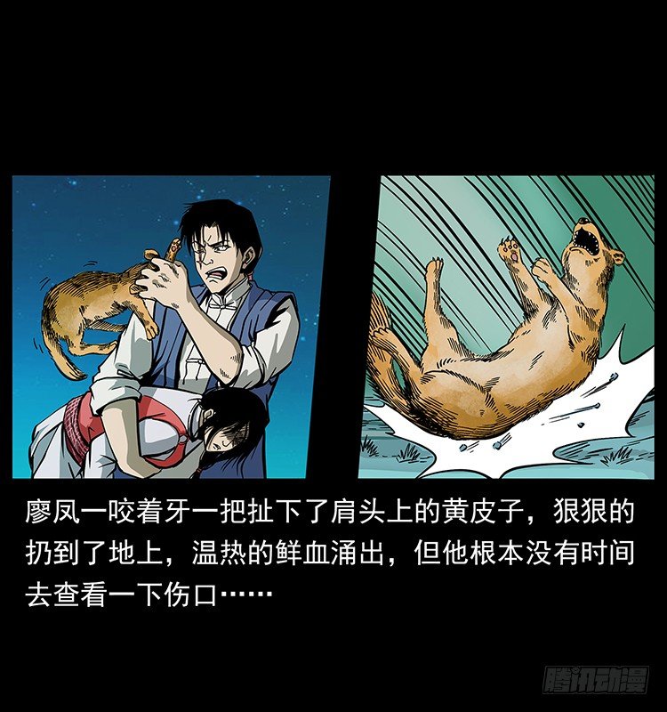 黄家首领(1/2)-第48话