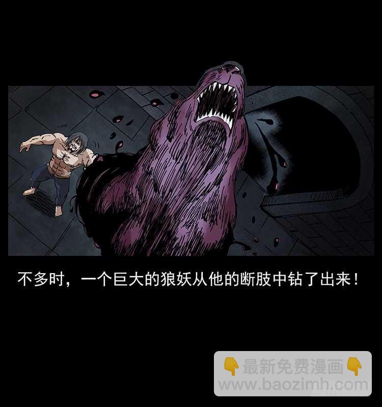 毒狼(1/2)-第96话