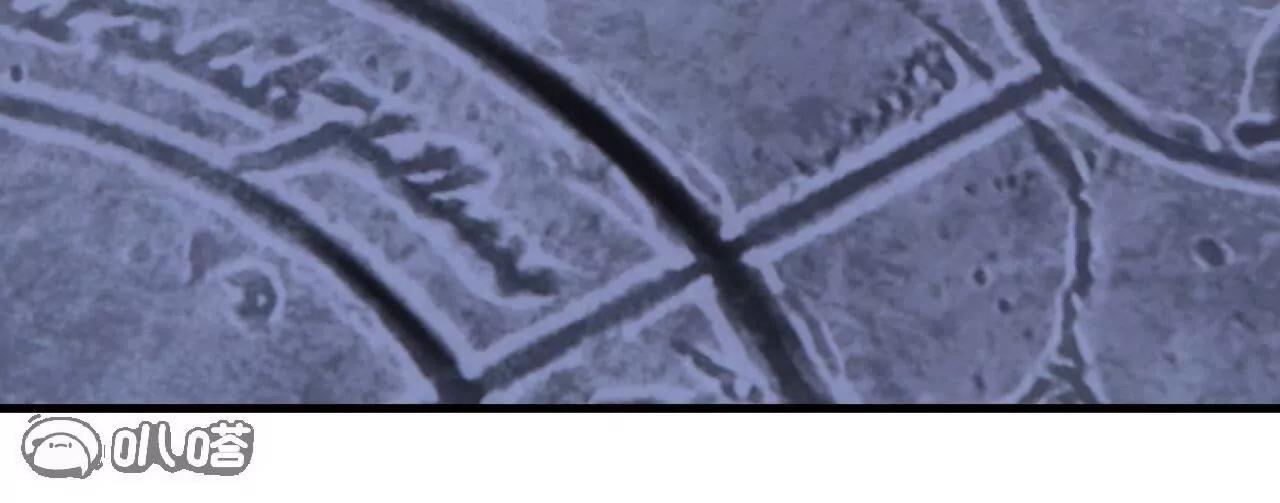 仙武帝尊 - 第853話  這傷我也受過(3/4) - 5