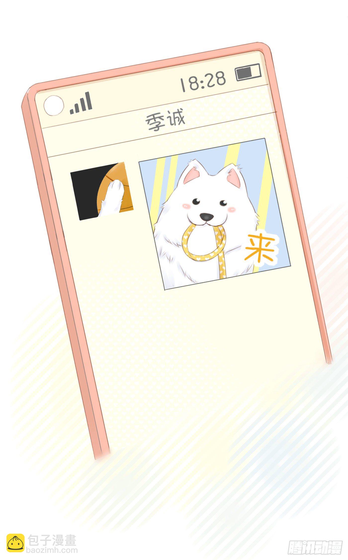 养狗千日-第64话