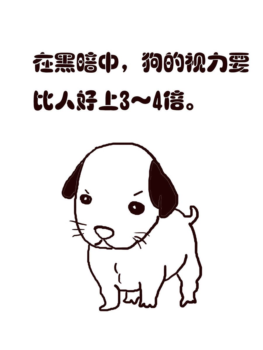 小东与小西 第2集-第2话