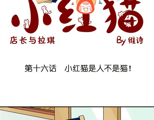 第16话 小红猫是人不是猫！(1/2)-第16话