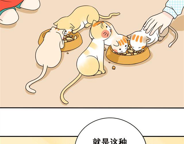 第16话 小红猫是人不是猫！(1/2)-第16话