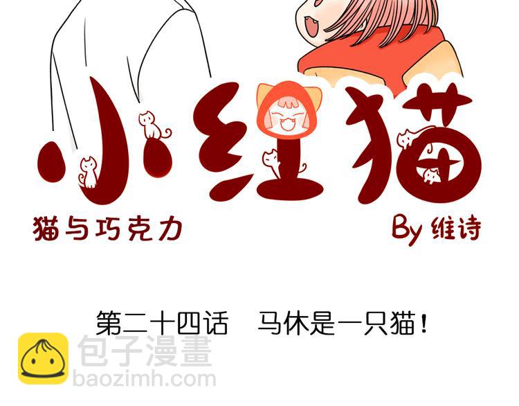 第24话 马休是一只猫！(1/2)-第24话