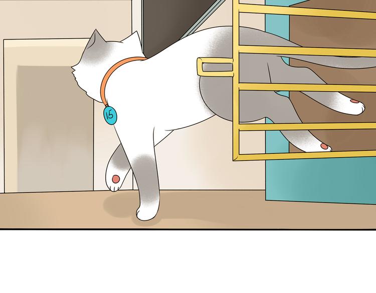 第28+29话 她有危险了！(1/3)-第28话