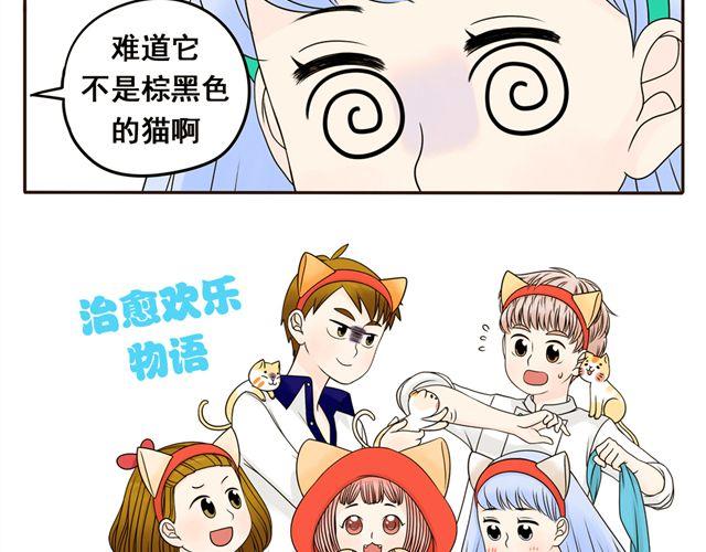 第8话 猫咪说，我回来了！-第8话