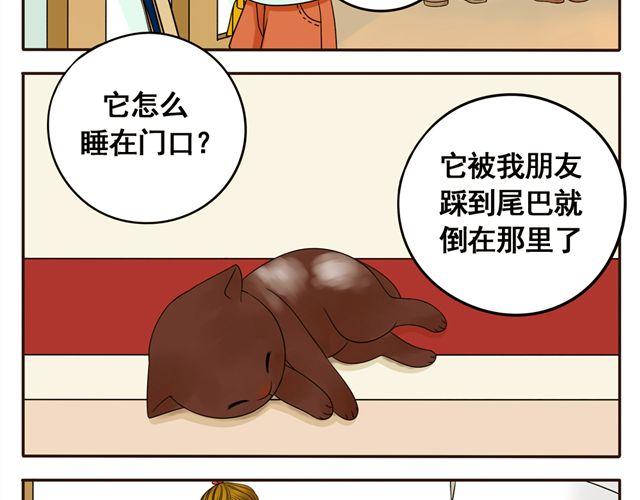 第8话 猫咪说，我回来了！-第8话