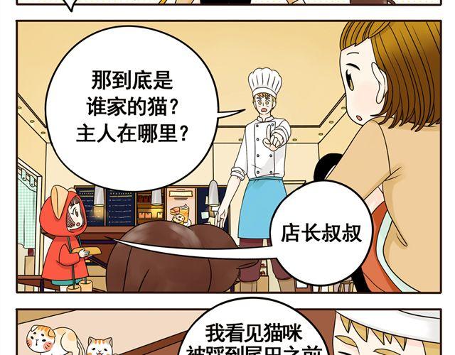 第8话 猫咪说，我回来了！-第8话