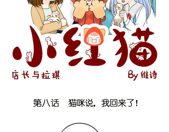 第8话 猫咪说，我回来了！-第8话