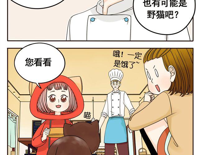 第8话 猫咪说，我回来了！-第8话