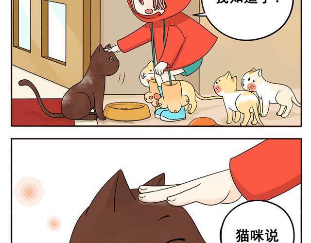 第8话 猫咪说，我回来了！-第8话