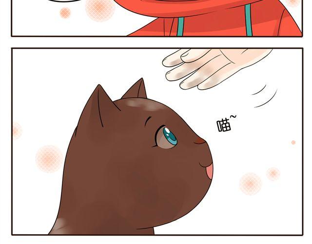 第8话 猫咪说，我回来了！-第8话