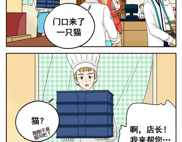 第8话 猫咪说，我回来了！-第8话