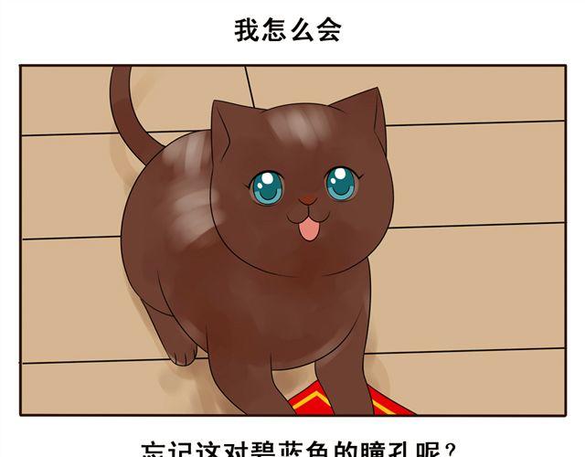 小紅貓 - 第10話 碧藍色的瞳孔 - 1