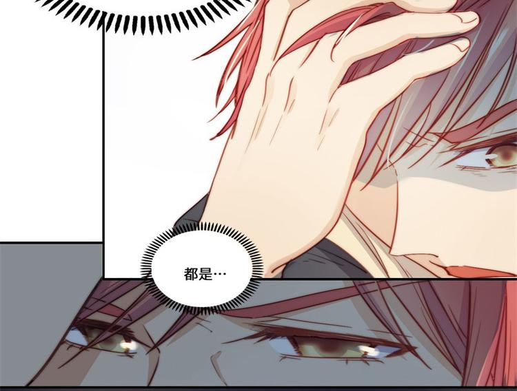 第41话(1/2)-第42话