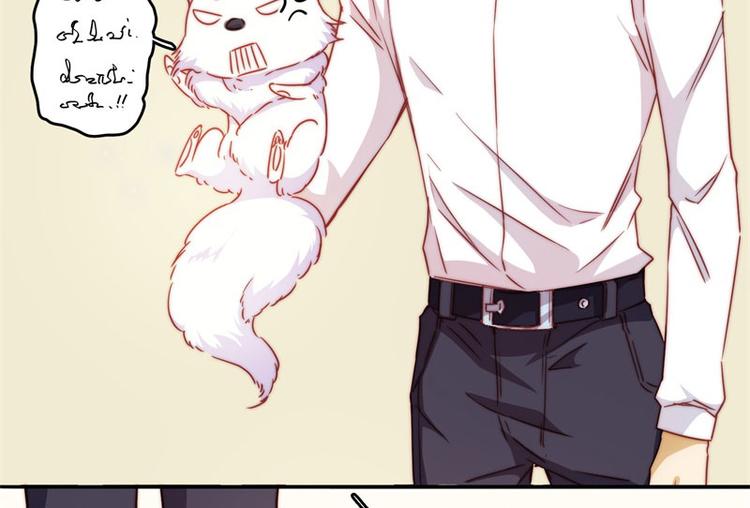 一周年番外(1/2)-第46话