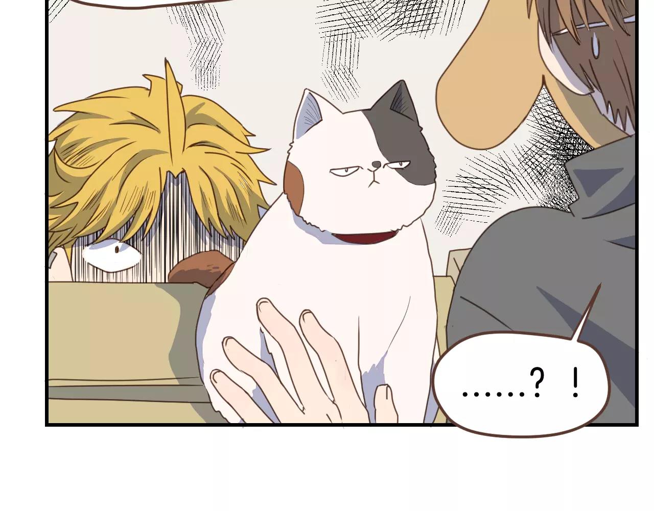 第17话 营救(1/2)-第18话