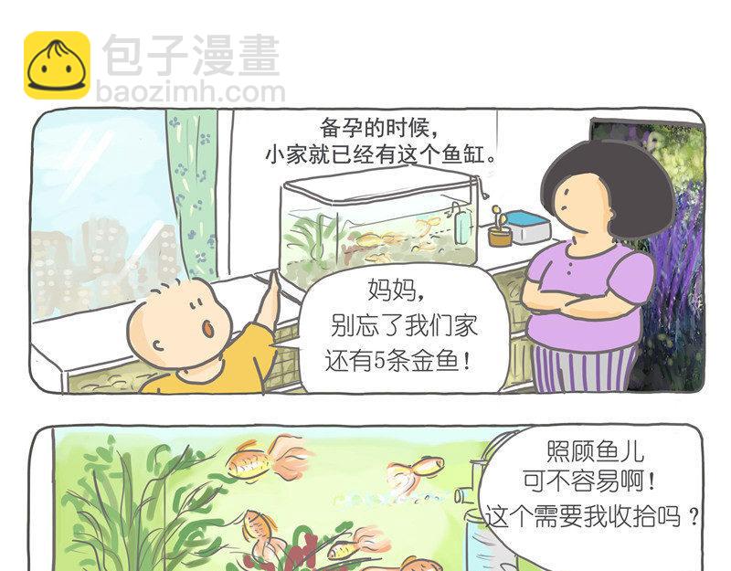 今年我家新增很多东西-第22话