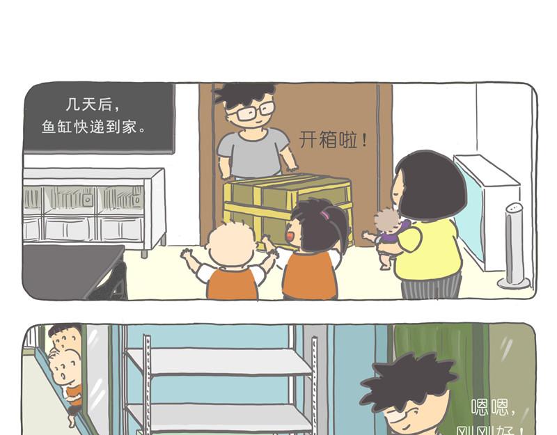 鱼仔们的新家-第24话