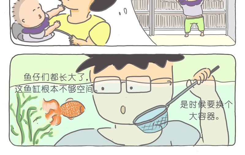 鱼仔们的新家-第24话