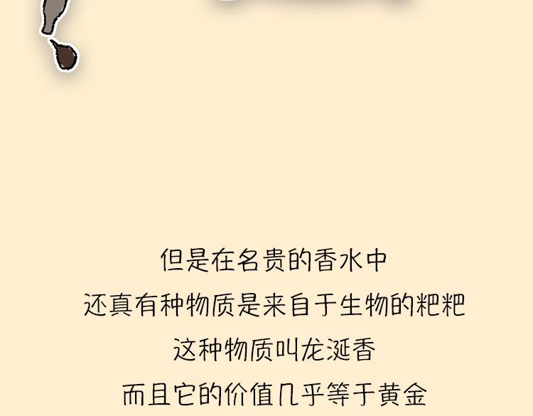 粑粑和香水的关系-第18话