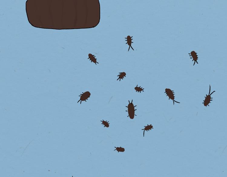 大螂该吃药了-第22话