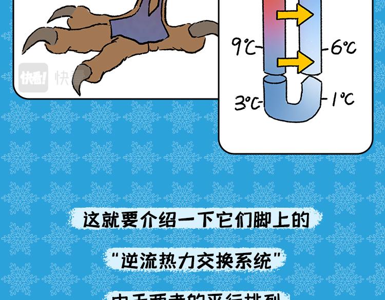 保暖秘籍-第32话