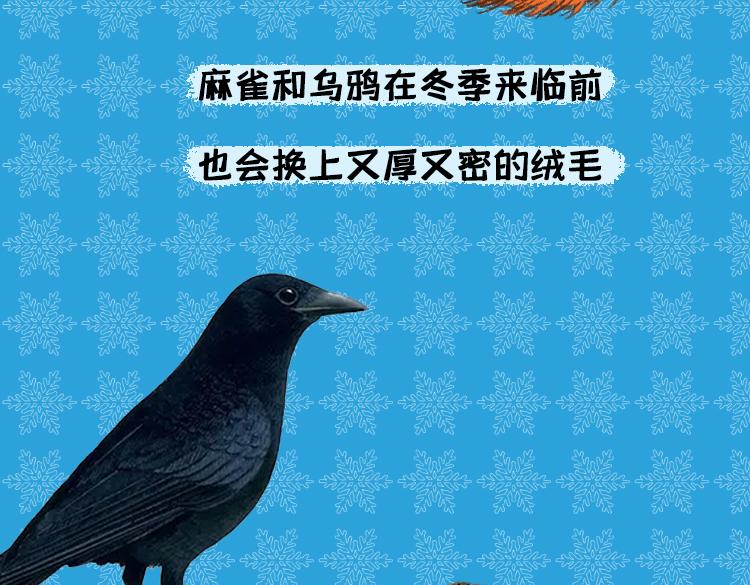 保暖秘籍-第32话