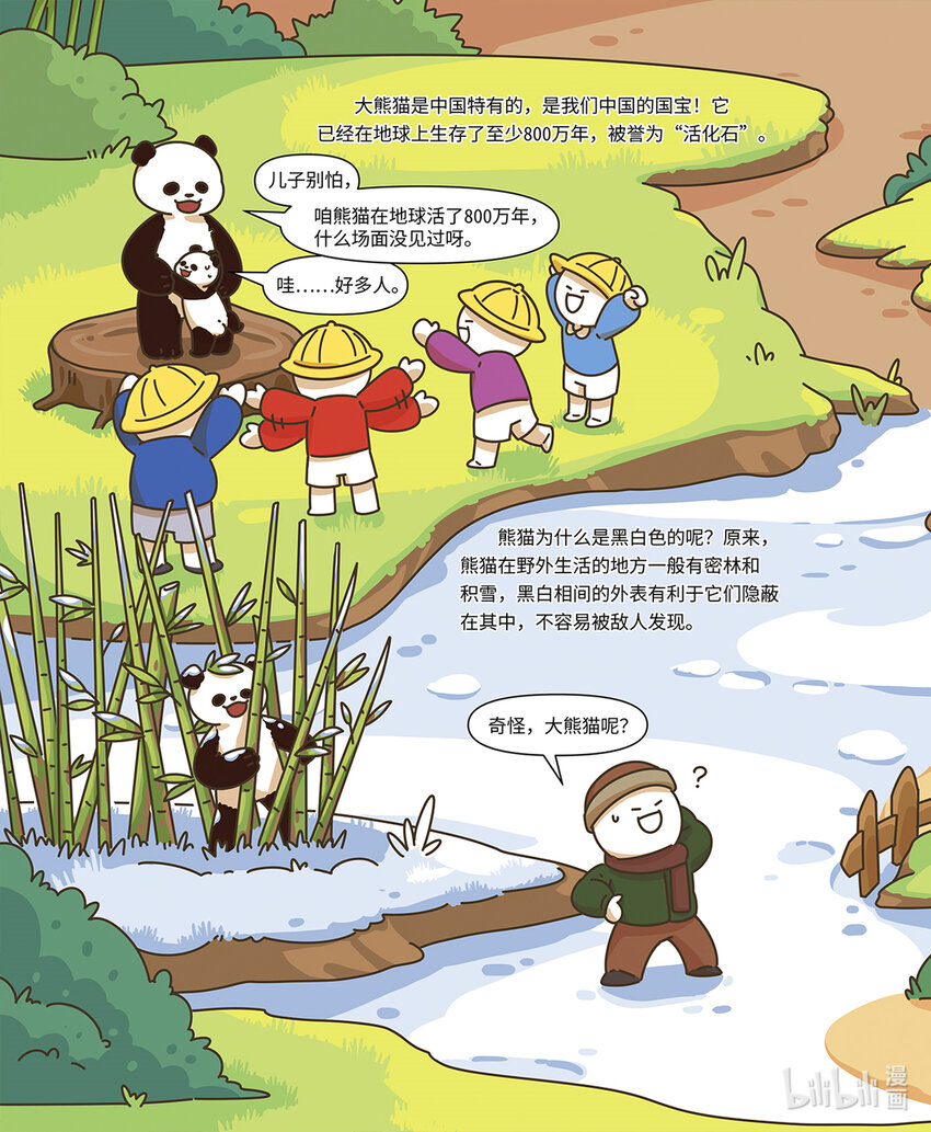 小藍帶你逛動物園 - 第二章 國寶“熊貓” - 1
