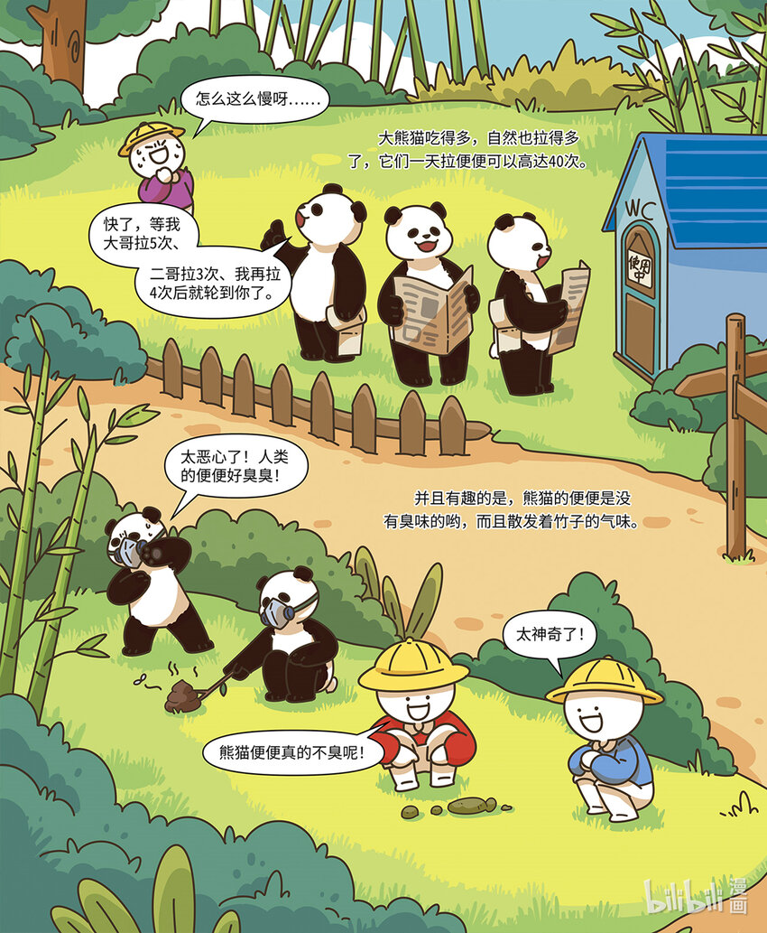 小藍帶你逛動物園 - 第二章 國寶“熊貓” - 1