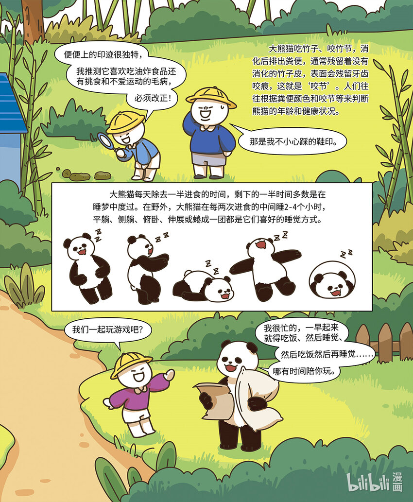 小藍帶你逛動物園 - 第二章 國寶“熊貓” - 2