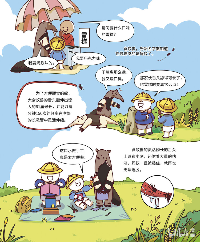 小藍帶你逛動物園 - 第八章 “長舌怪”食蟻獸 - 2