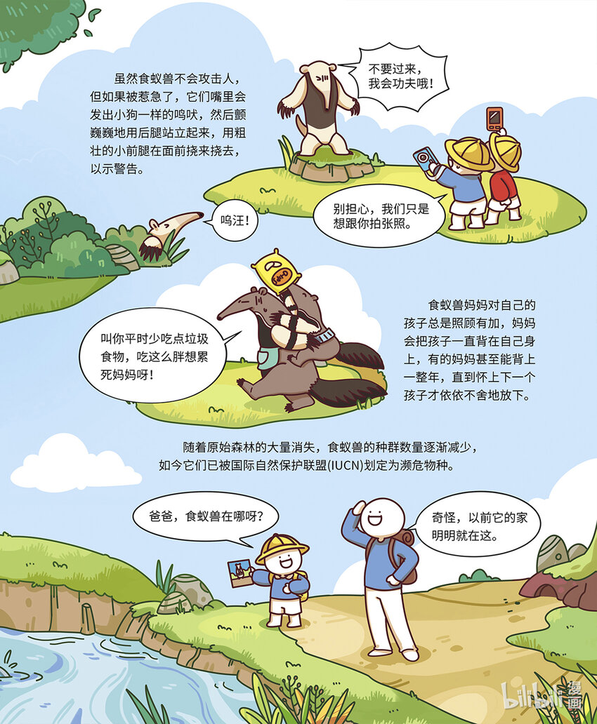 小藍帶你逛動物園 - 第八章 “長舌怪”食蟻獸 - 2