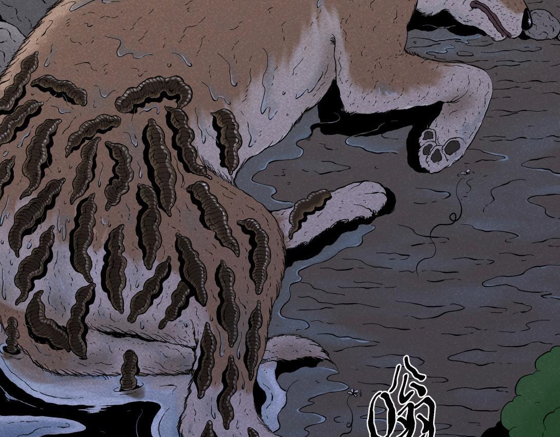 第40话 水蛭(1/2)-第26话