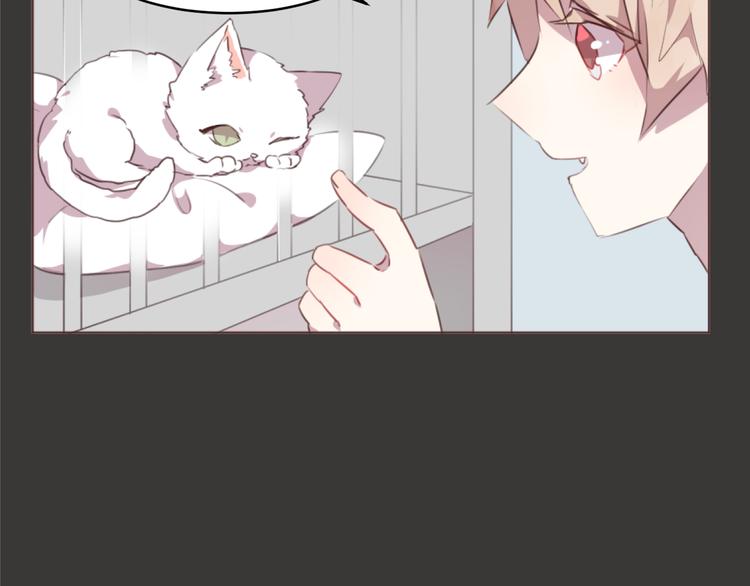 第54话 往事(1/2)-第54话