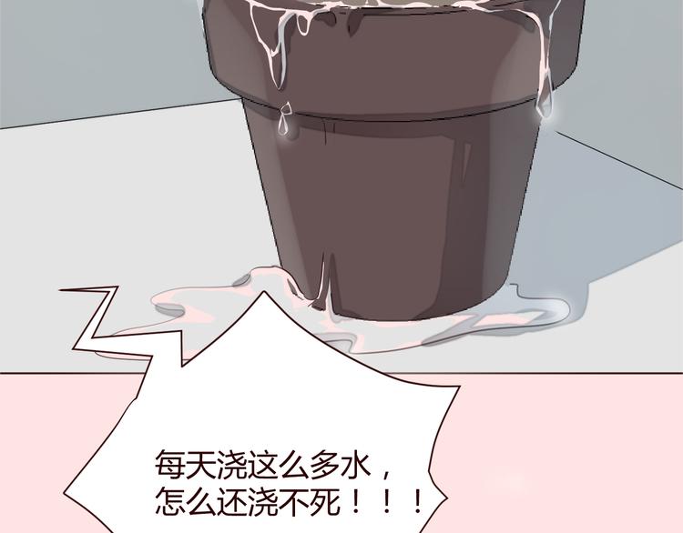 新作《仙人掌男友》精彩上线！(1/2)-第62话