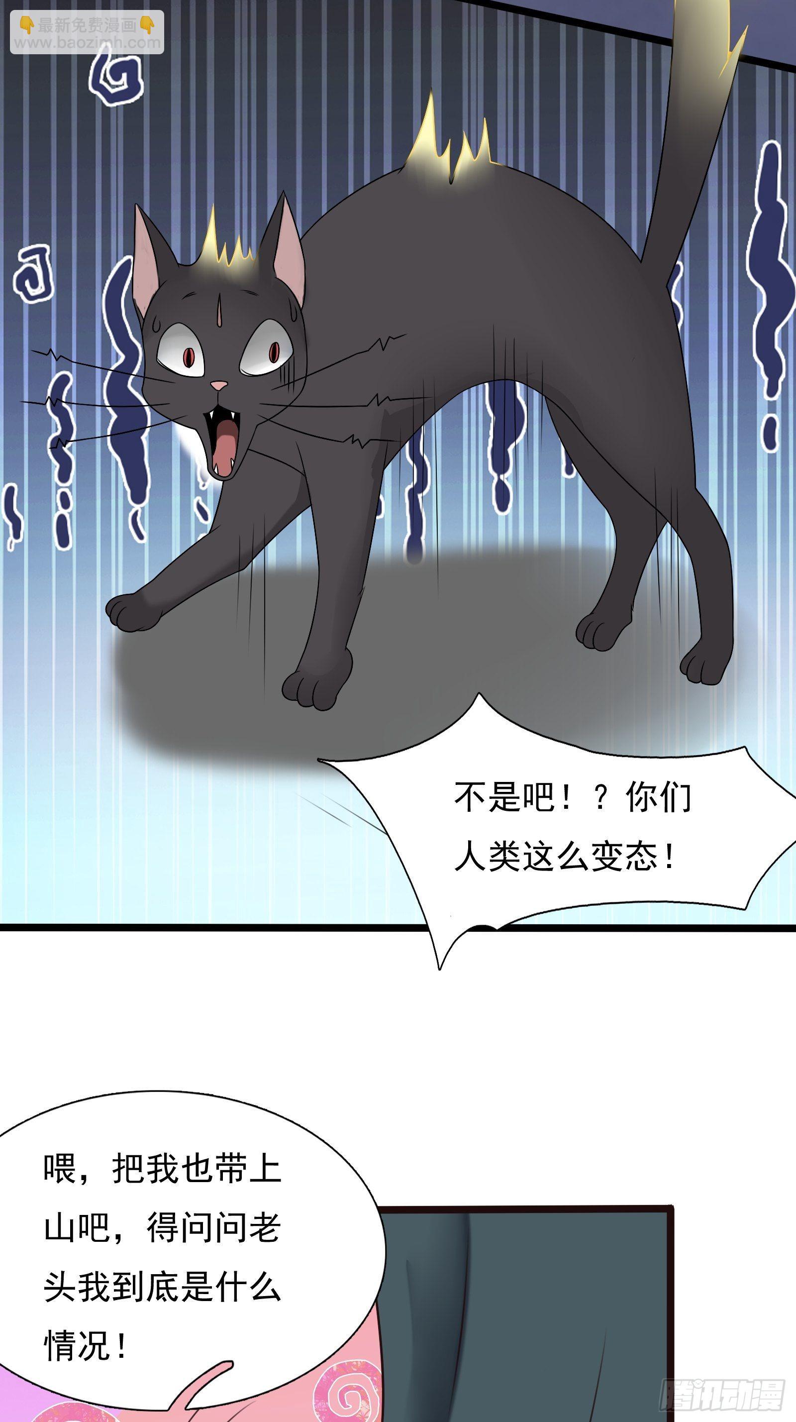 23-相约小树林～(1/2)-第26话