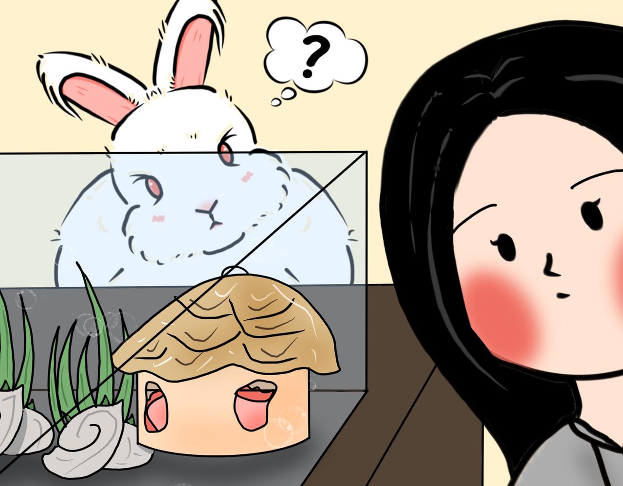 小兔桃桃 - 葵仔登場！ - 5